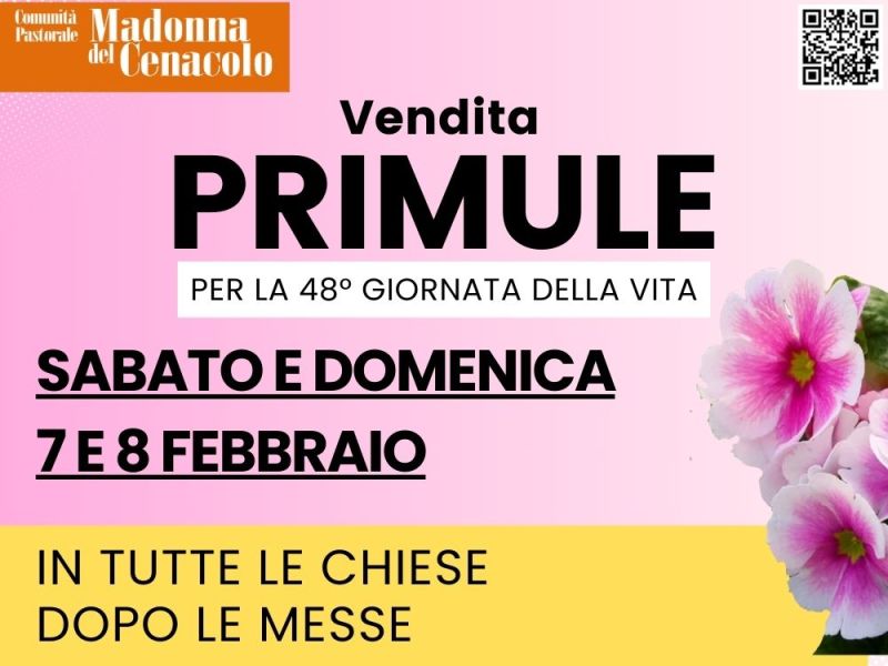 VENDITA PRIMULE 7 E 8&nbsp;FEBBRAIO